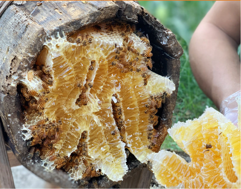 1663235968949265.png 166314224486179940.png