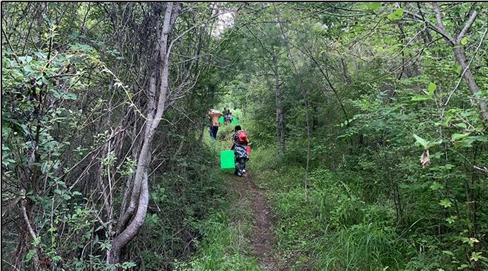 1663236014298271.jpg 16631422448645903.jpg