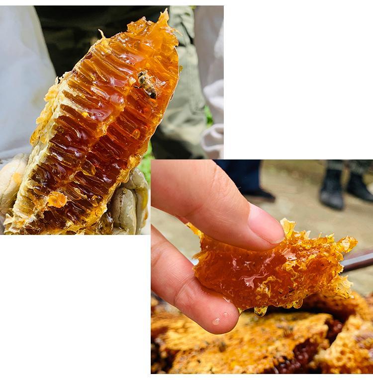 1663236067977878.jpg 166314224486523353.jpg