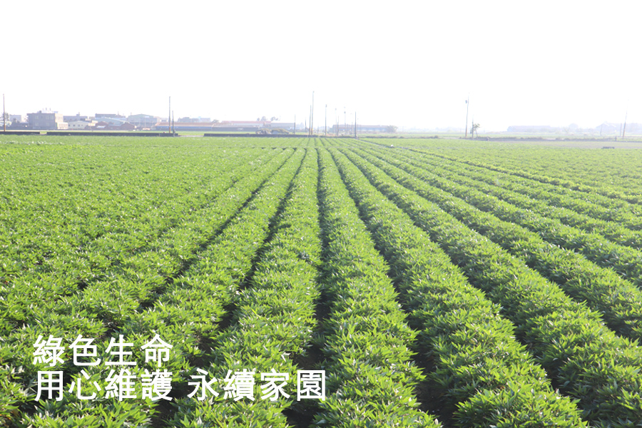 1664502409351448.jpg 166418099008692699.jpg