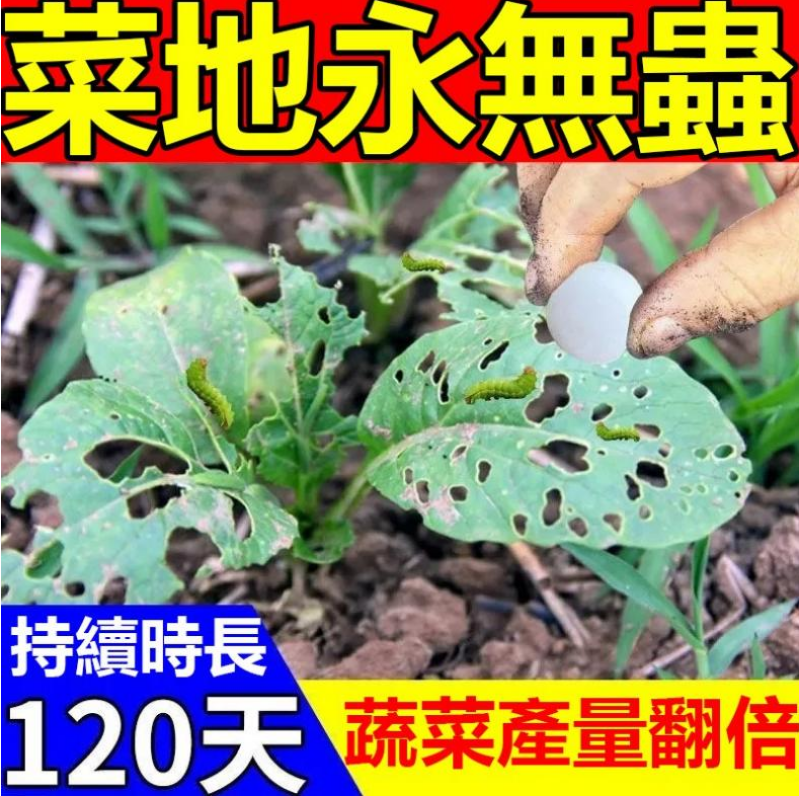 植物園藝除蟲好幫手,家庭綠植必備 植物園藝除蟲好幫手,家庭綠植必備