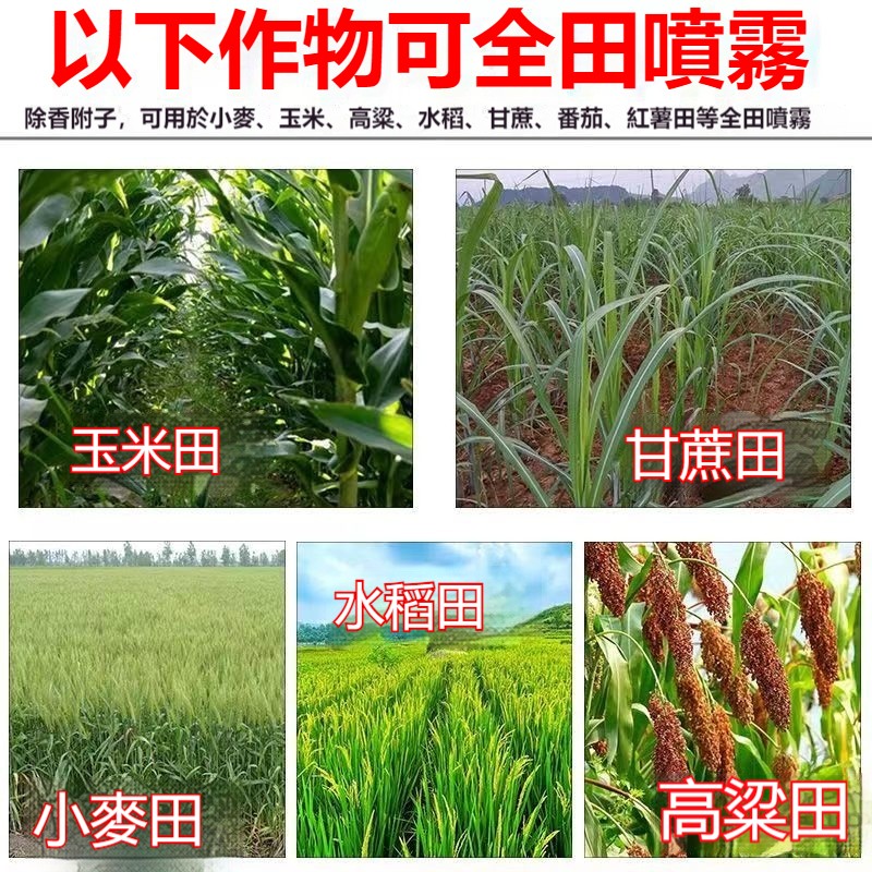 1749050859364836.jpg 821db37364eda23e15e0dff38ac0b1c.jpg