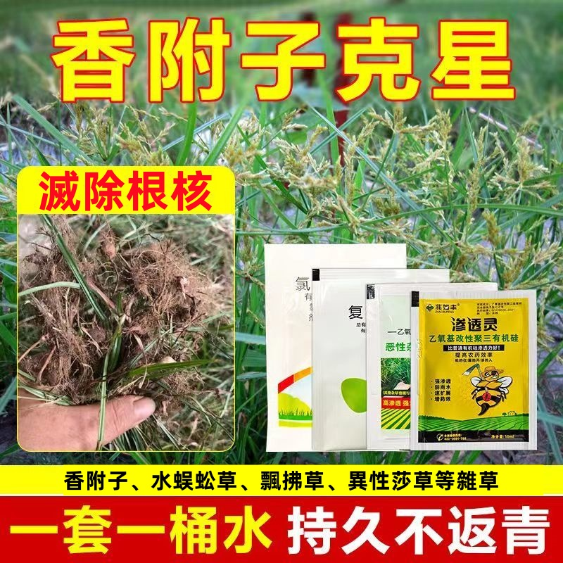 雜草之王剋星香附子克星】強效升級版四合一新配方滁異形莎草科有機質助劑 雜草之王剋星香附子克星】強效升級版四合一新配方滁異形莎草科有機質助劑