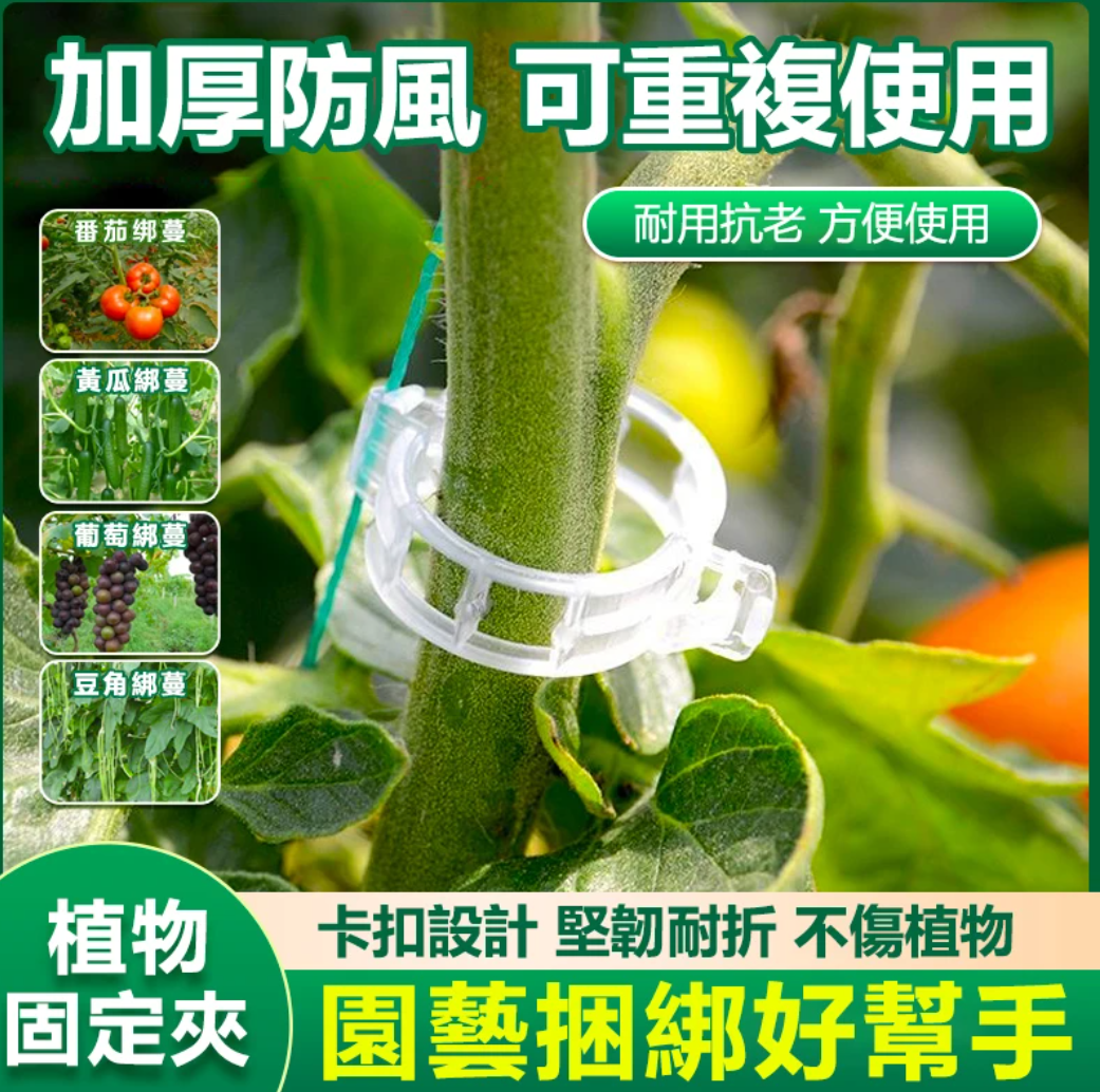 【綠植固定架】小東西大用處，不用在用繩綁了，菜園花園都能用，一卡一扣輕鬆固定梆枝，拆下還能重複使用