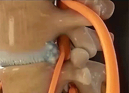 1755621045208739.gif 354c997155663114bf23bbebc4131a2e.gif